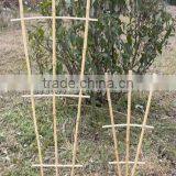 Manufacturer of Bamboo Cane Trellis Garden Bamboo Trellis for Planting thumbnail-6