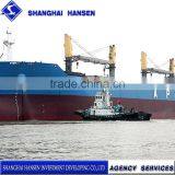 General Trade Agents for Import With Much Experience Import Export Business Agent