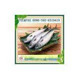 Frozen Seafood of Pacific Mackerel Fish thumbnail-1