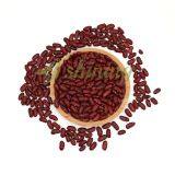 Wholesale Chinese Origin High Quality Canned Dark Red Kidney Beans