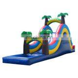 Summer Water Park Large Toy Inflatable Slide/Water Slide For Sale Fit Kids And Adult
