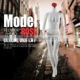 Unique Headless Fashion Dummy Model thumbnail-2