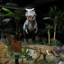 Hot Sale Simulation Dinosaur Outdoor Playground thumbnail-3