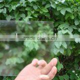 Non-glare Frame Glass/anti-reflective Glass thumbnail-1