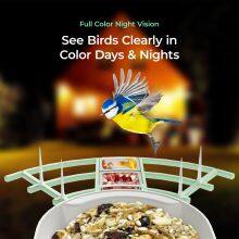 Ringsee Solar-powered Bird Feeder Smart Wifi Outdoor Bird Feeder 3MP Bird Feeder With Camera thumbnail-4