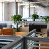 Guangzhou Sanwich Biology Technology Company Limited company overview - view 1 thumbnail