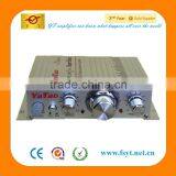 Singing sd Card Socket Amplifier YT-A6 fm