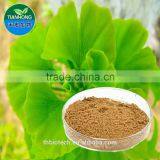 2015 Manufacturer Pure Natural High Quality Ginkgo Biloba Extract, Ginkgo Biloba Extract Powder, Ginkgo Biloba Leaf Extract