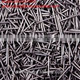high quality facoty production stainless common Iron wire nail /all sizes of common nail factory