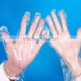 Disposable Polyethylene Glove thumbnail-3