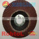 Flap Disc (item ID: ACBF)-Mary thumbnail-1