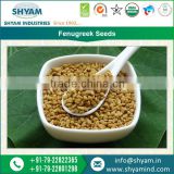 Most Recommended Quality of Fenugreek Seeds for Tasty Indian cuisines