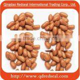 2014 Red Skin Peanut Kernels