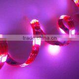 SMD 5050 LED Flex Strip Light 12-24V