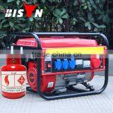 BISON(CHINA) Gas Gasoline Two-in-one OEM Generator Gas