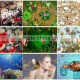 High-tech All-in-one System With Unlimited Effects for Fun Floor, Dancing Floor thumbnail-4