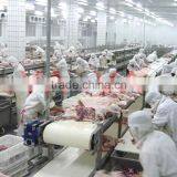 Customized Food Grade Flat Belt Conveyor for Meat Processing thumbnail-2