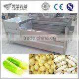 Large Scale industrial vegetable potato carrot taro cassava ginger yam root washing machine