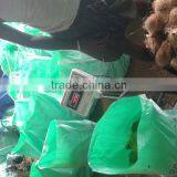 Indian Fresh Pollachi Cocount thumbnail-2