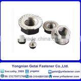Stainless Steel 201/202/304/316 Hexagon Flange Nuts DIN 6923 thumbnail-2