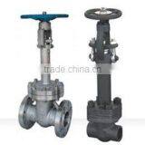 Cryogenic Gate Valve thumbnail-1