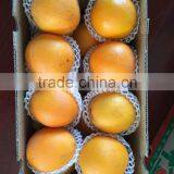 Fresh Gannan Navel Orange, Best Quality China Navel Orange thumbnail-4