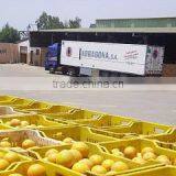 Sma Trading For Import And Export And Commercial Agencies company overview - view 3 thumbnail