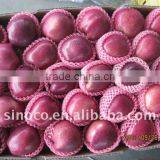 Sell Huaniu Apple/ Red Delicious