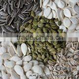 Wholesale Delicious Sunflower Seeds thumbnail-5