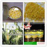 Canned Sweet Corn 340g,400g