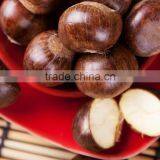 2015 New Crop Sweet and Easy Peeled Chestnuts for Sale thumbnail-4