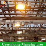 High Quality Agricultural Sodium Lamp For Indoor Plants