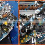 Big capacity Stainless steel Egg Processing Machines made in China