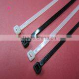 China!! PVC PA PP PETCable Tie Nylon Cable Tie Polyamide Cable Tie thumbnail-6