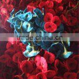 Handmade Felt Decorative Flower /Wool Flower/ Artificial Flower /Tulip thumbnail-1