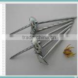 15 Degree Galvanized Umbrella Head Roofing Nail With Rubber Washer thumbnail-2