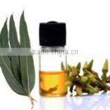 Eucalyptus Oil thumbnail-3