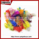 Cheap Dyed Guinea Fowl Wholesale Artificial Feathers for Carnival Costumes thumbnail-5