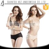 HSZ-8990 Top popular transparent panties for young girls sexy women underwear model women panties
