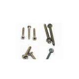 Self Tapping Screw thumbnail-1