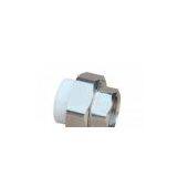 PPR Water Pipes Fittings Female Thread Union Convenient Installation and Reliable thumbnail-1