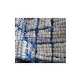 Fresh Garlic thumbnail-1