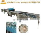 Animal Intestine Cleaning Machine Hog Casing Cleaner for Sausage thumbnail-3