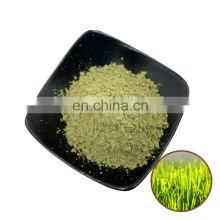 Hot Selling Barley Grass Extract Juice Powder Organic Barley Grass Powder