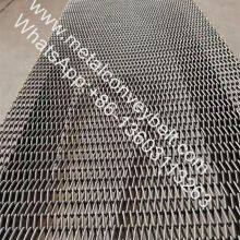 Cooling Line Conveyor Belt SS 304 316 Stainless Steel Galvanized Steel Chain Driven Spiral Wire Mesh Conveyor Belt