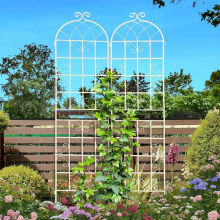 Modern Handmade Wrought Iron Garden Fence and Trellis, Wholesale for Garden Landscaping Projects thumbnail-2