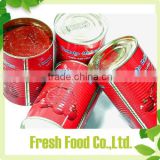 Newest Canned Ketchup without additives