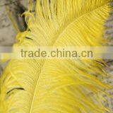 Wholesale Ostrich Feathers Gold Ostrich Feather for Wedding Decoration thumbnail-2