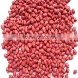 Chinese Peanut Kernels 24/28 28/32 50/60 60/70 thumbnail-2