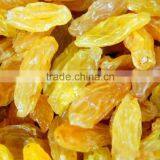 2015 New Crop Best Quality Fruit Products Dried Golden Sweet Raisin thumbnail-1
